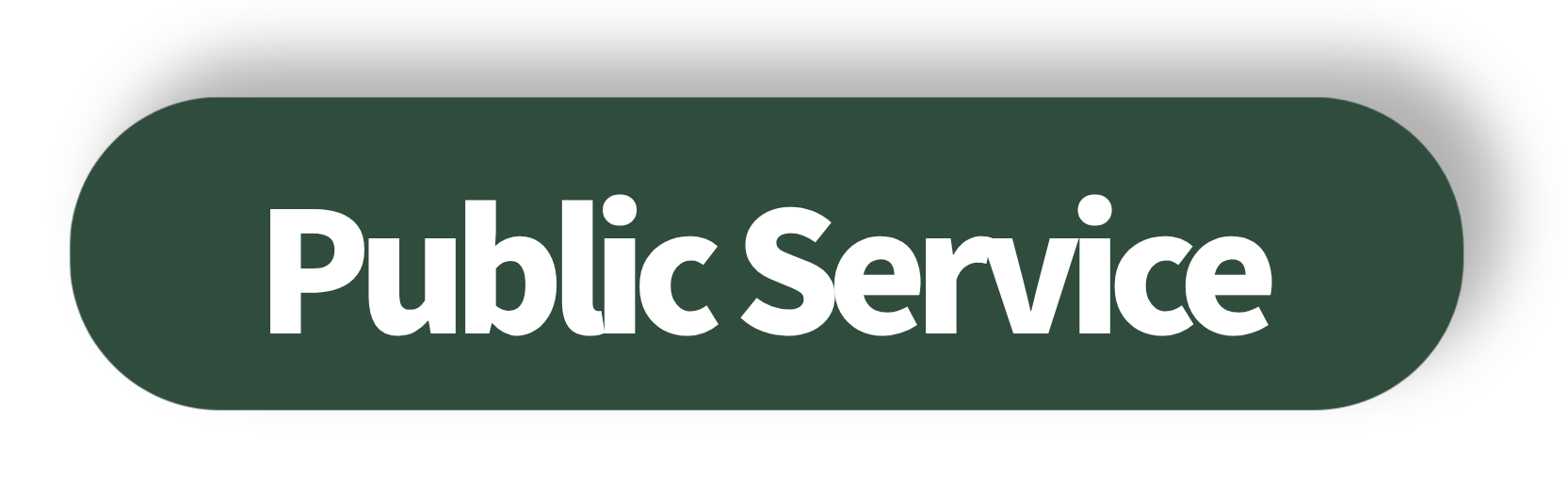 Public Service